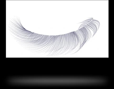 Feather